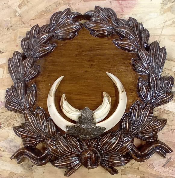 Suport pentru trofeele tale – UNICAT