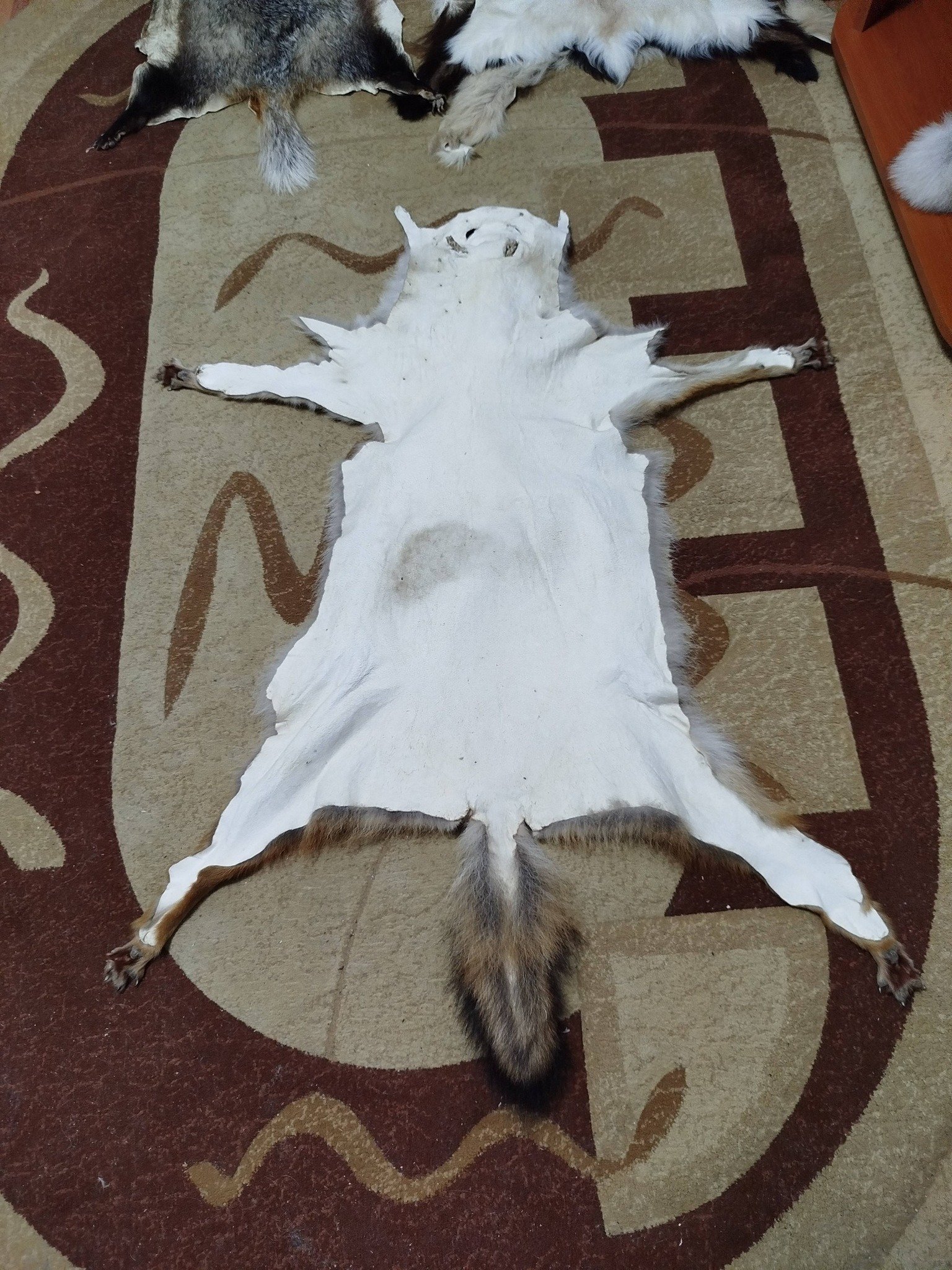 Blănițe de animale argăsite de mine , 0727 845 826 !