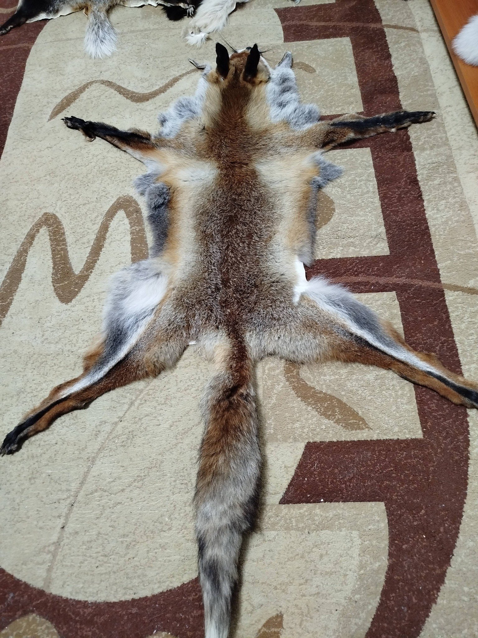 Blănițe de animale argăsite de mine , 0727 845 826 !