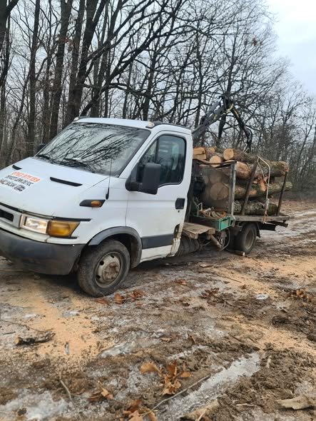 Lemne pentru foc,stejar uscat,0763971159!