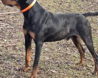 625968861_1218245193843783_4539281269168692847_n