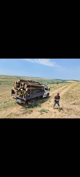 Lemne pentru foc,stejar uscat,0763971159!