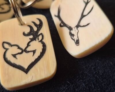 626766315_3055834667933007_5161135590348557093_n