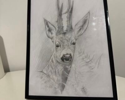 626953750_4323622194523556_4450230911991152974_n