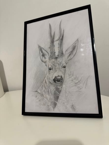 Ce parere aveti despre acest desen?