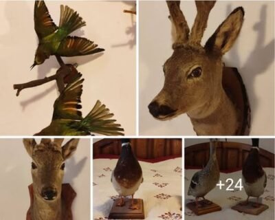 627467937_3314853838689933_538985701794990444_n