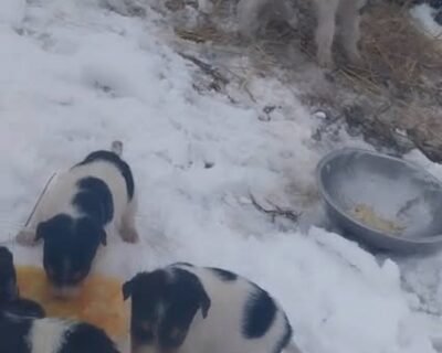 627683587_818652337864564_6902273616816492049_n