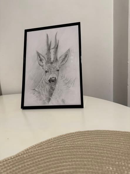 Ce parere aveti despre acest desen?