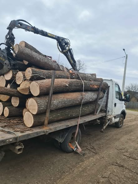 Lemne pentru foc,stejar uscat,0763971159!