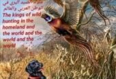 ‎ملوك الصيد البري في الوطن العربي والعالم‎