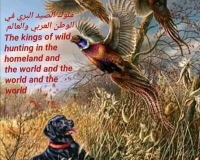 323866097_1831297500560199_6277909707045059022_n