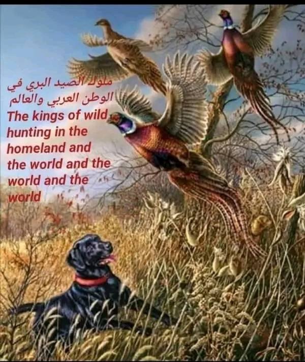 ‎ملوك الصيد البري في الوطن العربي والعالم‎