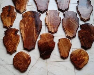 652311556_4248328072098123_2166144117973430274_n