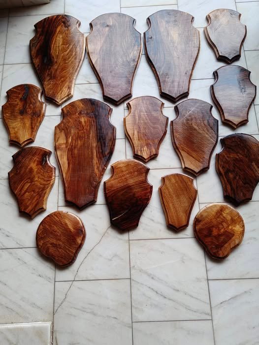 Panoplii pentru trofee de vânat