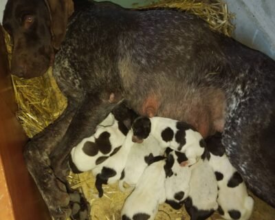 653710773_3696956330466867_8482233547211089049_n