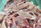 Hrană pentru câini(oase de la pulpă, vârfuri de aripi,tocătură,spate de pui,oase de la piept), doar de pui