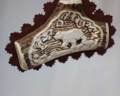 655098065_1536765645116021_2807120456624253213_n