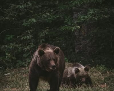 655156518_821347117651566_3037493510886323543_n