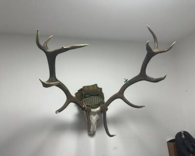 655643779_10232057447514532_7853287683673709182_n