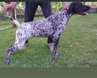 656352987_930671533151967_7569339040510112768_n