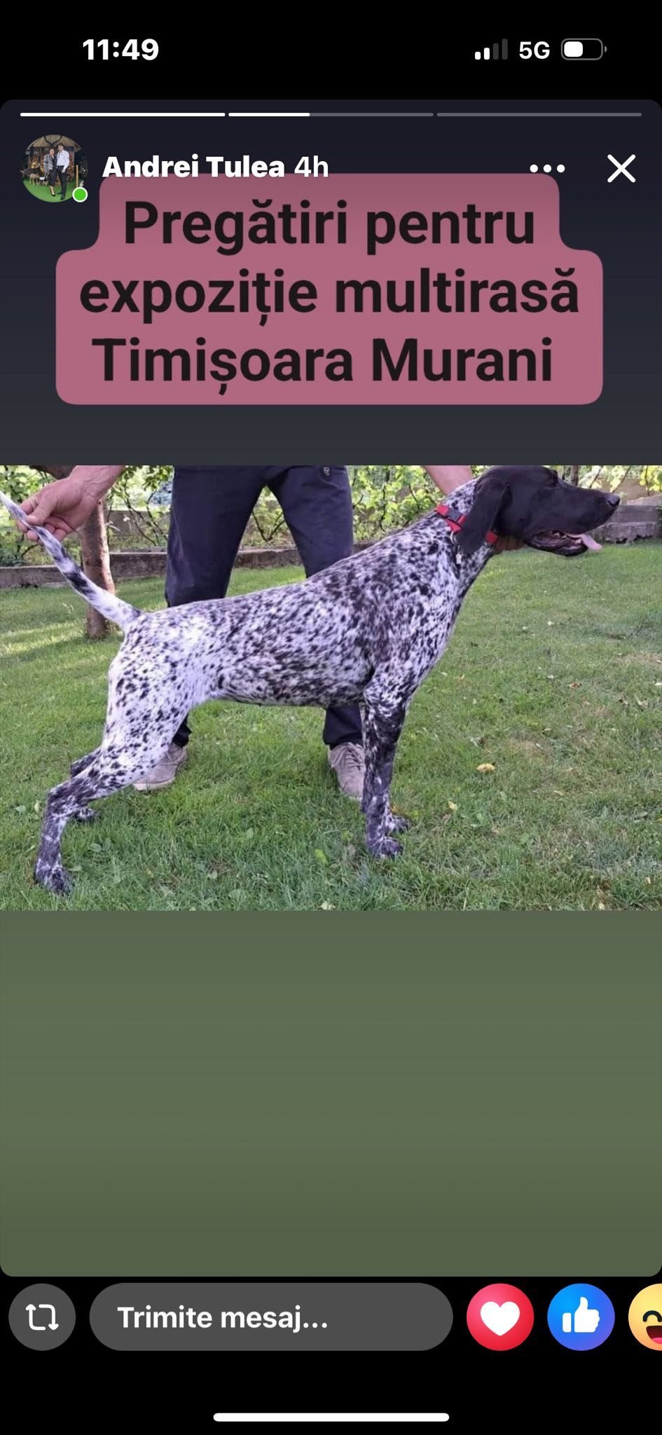 Verificați dinainte actele, cereți dovezi clare și nu vă bazați doar pe vorbe.