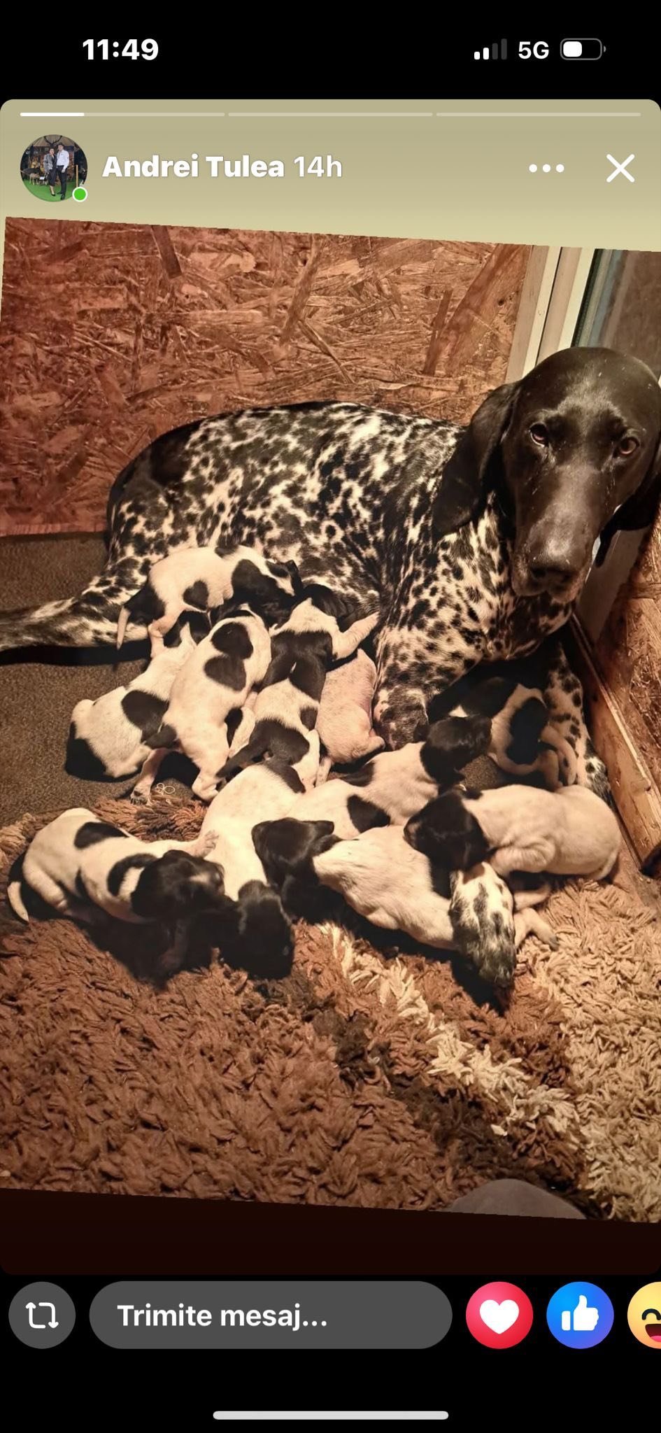 Verificați dinainte actele, cereți dovezi clare și nu vă bazați doar pe vorbe.