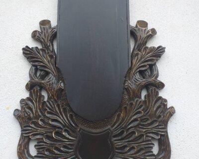 657417279_3084883888362796_2570932628019356898_n