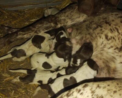 657807824_3705363142959519_8581953045434386843_n