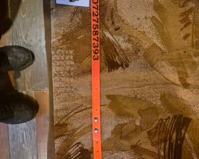 658860180_26542058105482312_8489279101061845225_n