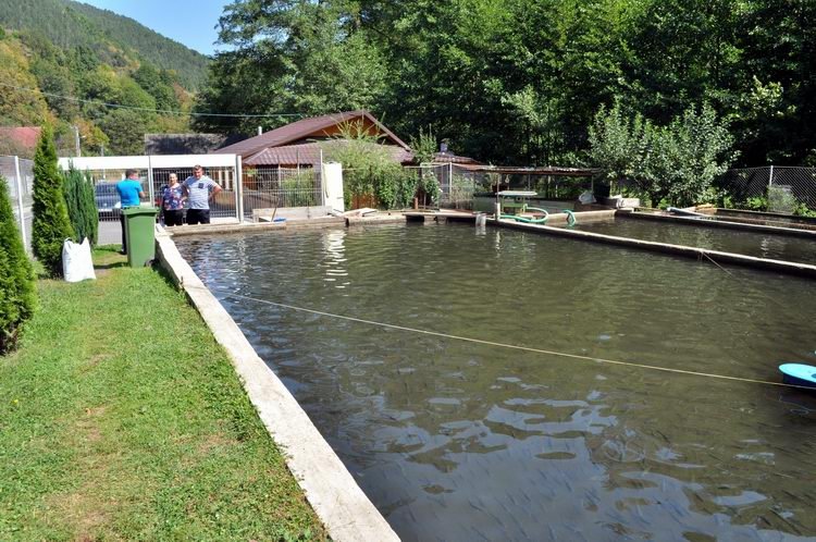 Păstrăvăria Transalpina – gust autentic