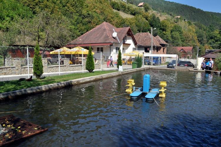 Păstrăvăria Transalpina – gust autentic