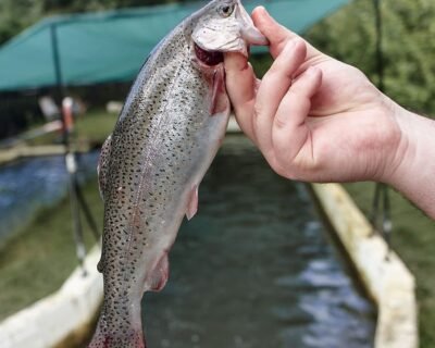 361171330_1185897922249148_9107258878165147239_n