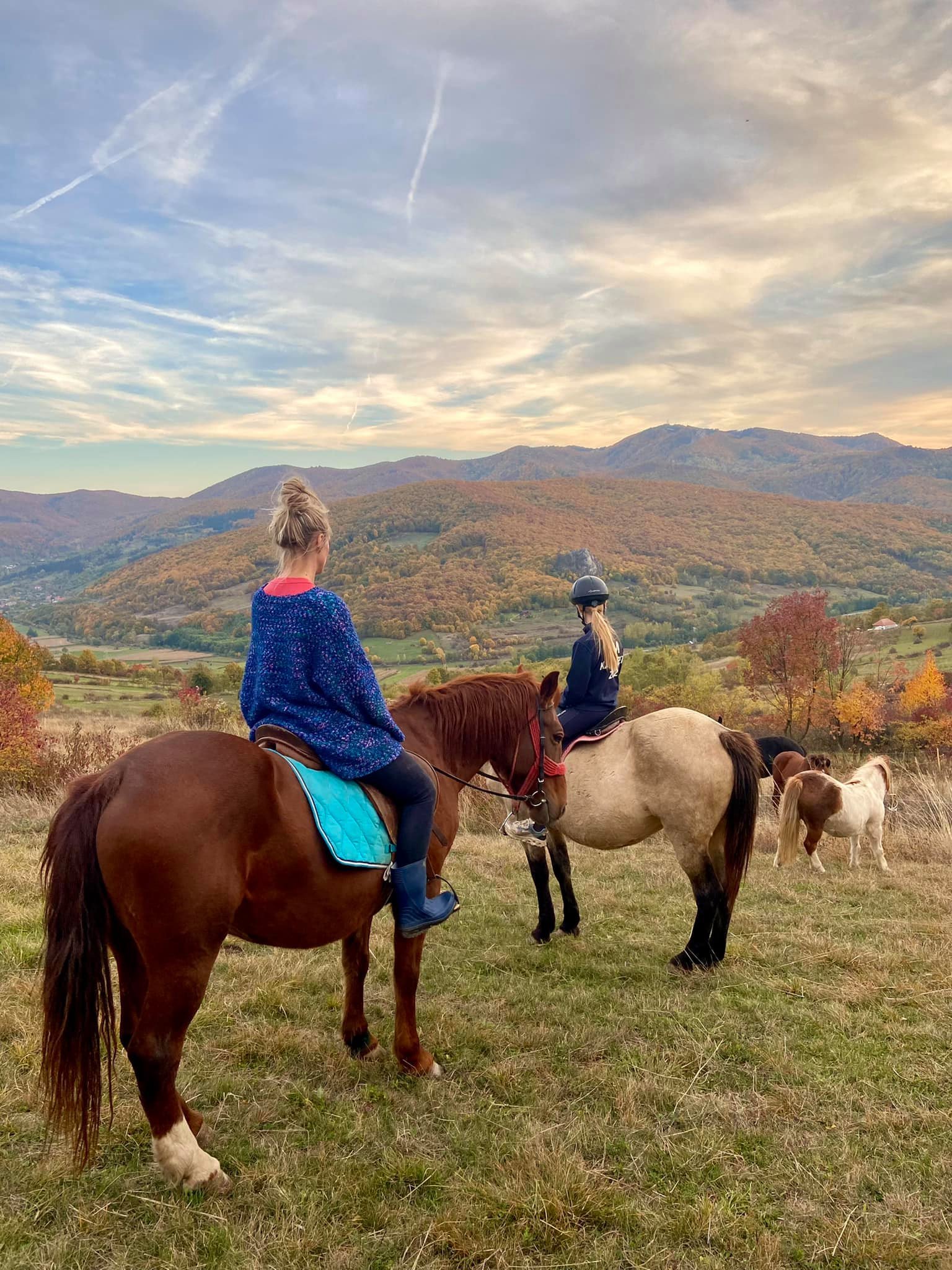Centrul de Echitatie si Recuperare Colt de Rai