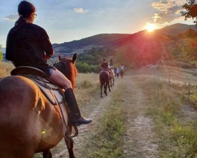 474695101_914235957493161_2691434344569689265_n