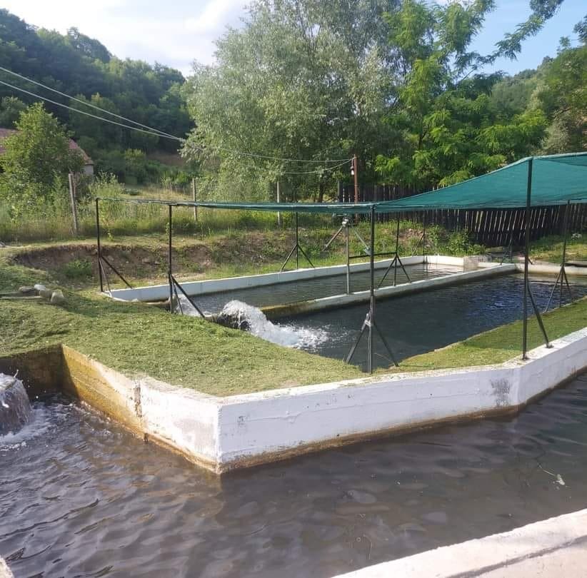 Păstrăvăria Poiana Aiudului