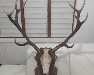 653708432_901741159294807_407253783523476035_n