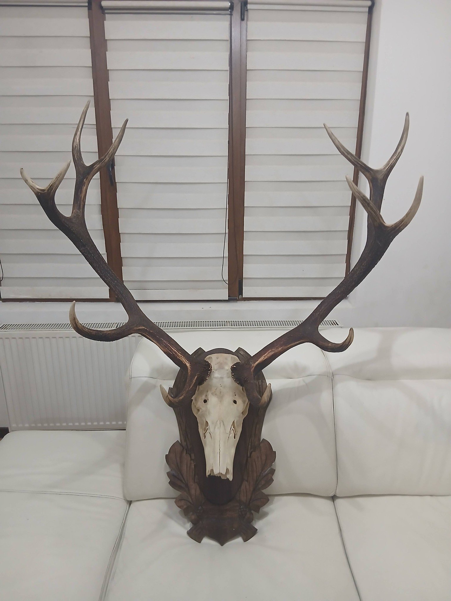 Se vinde 9kg plus panoplie 600grame