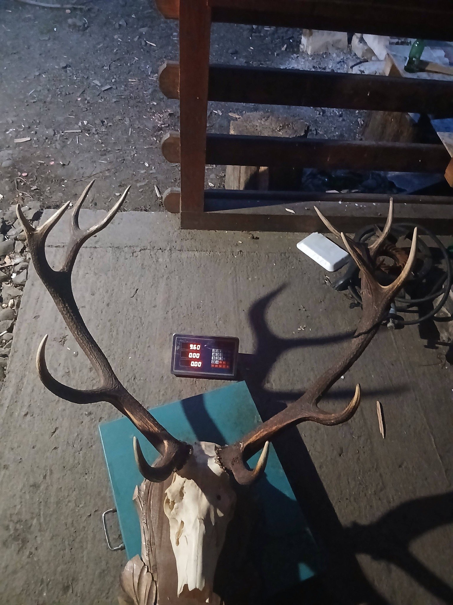 Se vinde 9kg plus panoplie 600grame