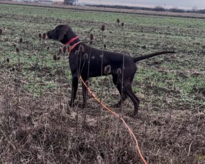 657513313_26140105652347822_2096199691714968384_n