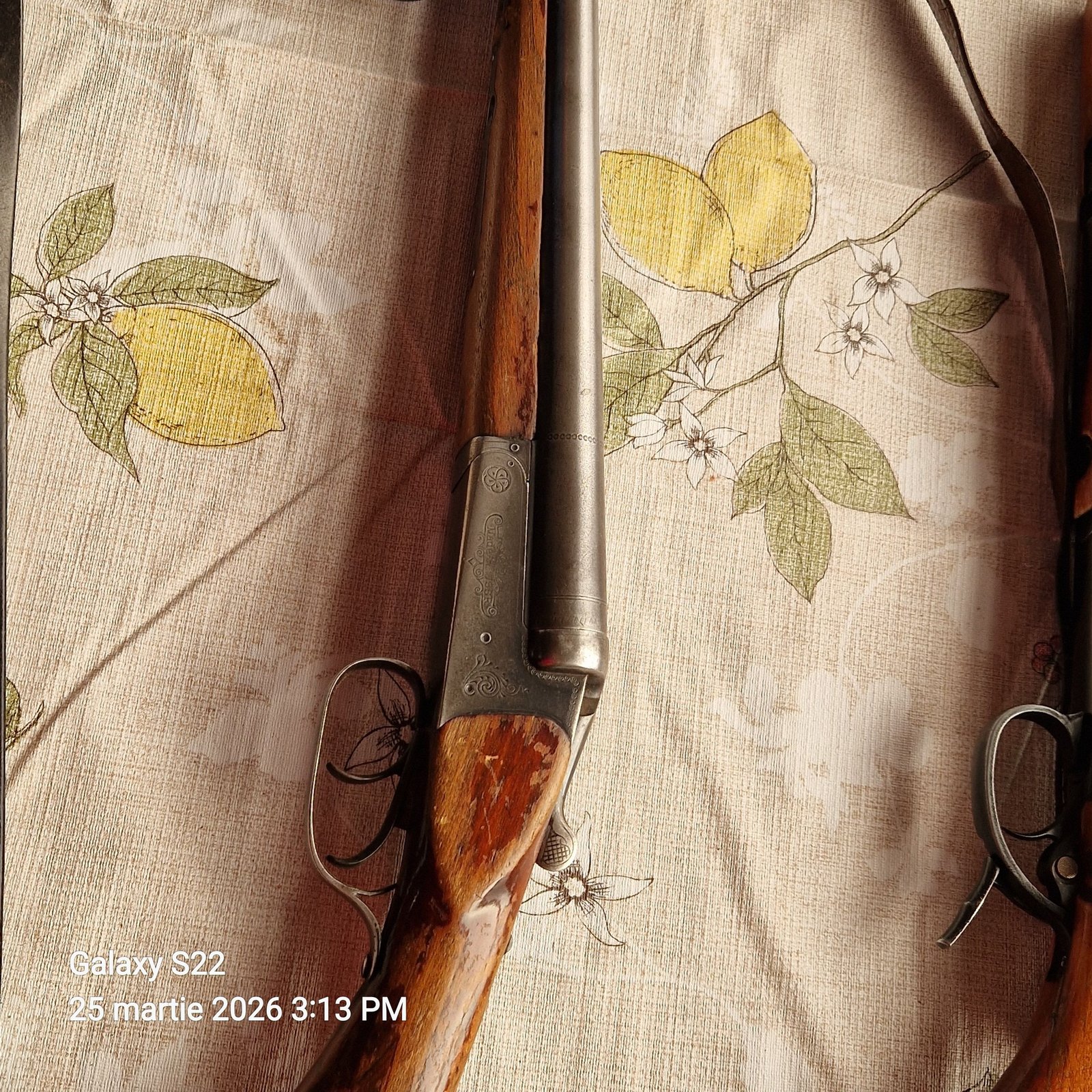 Cauta un nou proprietar doar conform legii