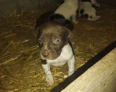 659119294_3711171099045390_3247662618296857436_n