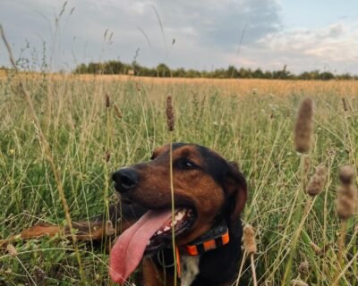 659537246_2100851884646831_8769305196826065614_n