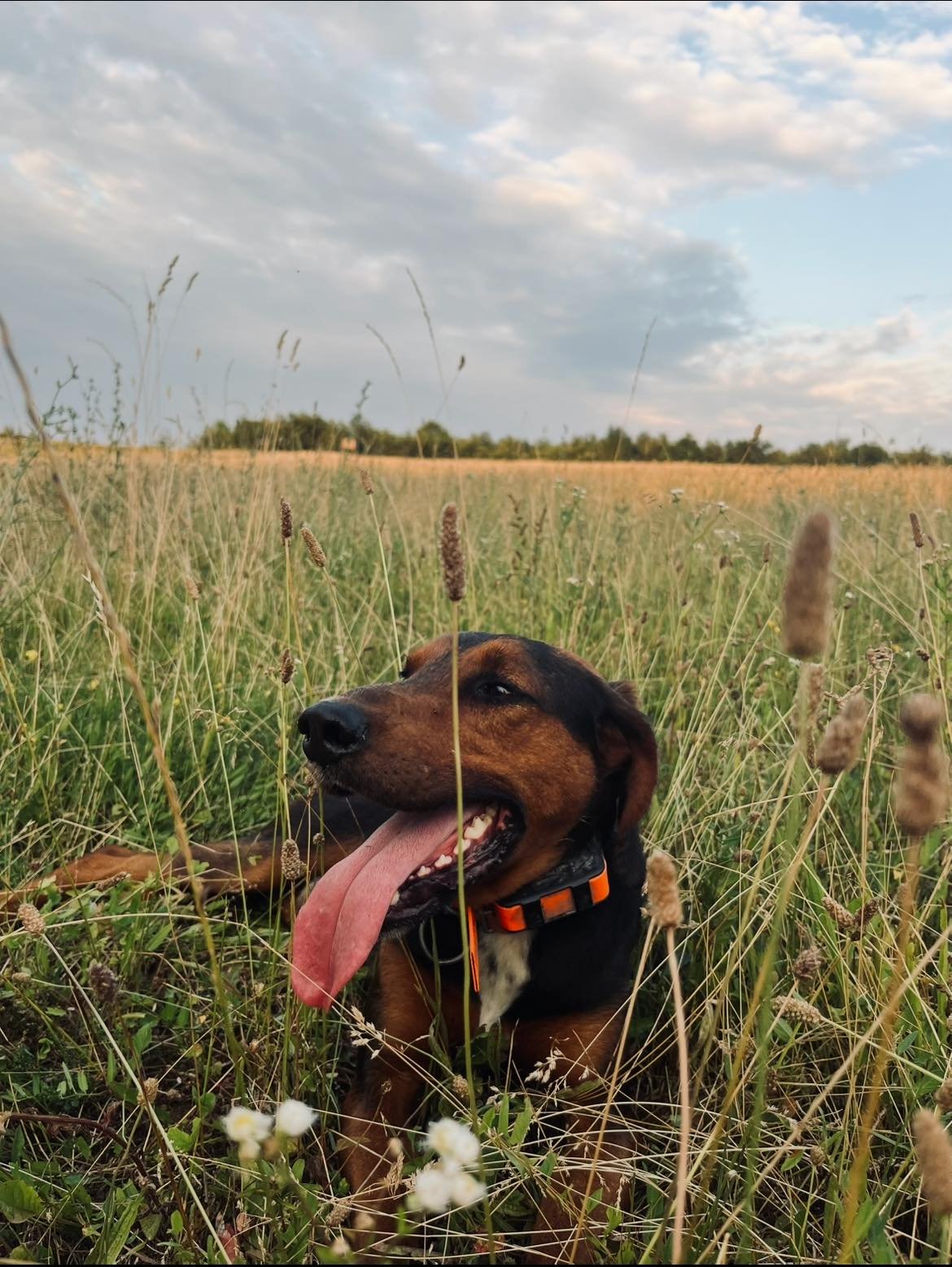 Disponibil‼️ detalii în privat