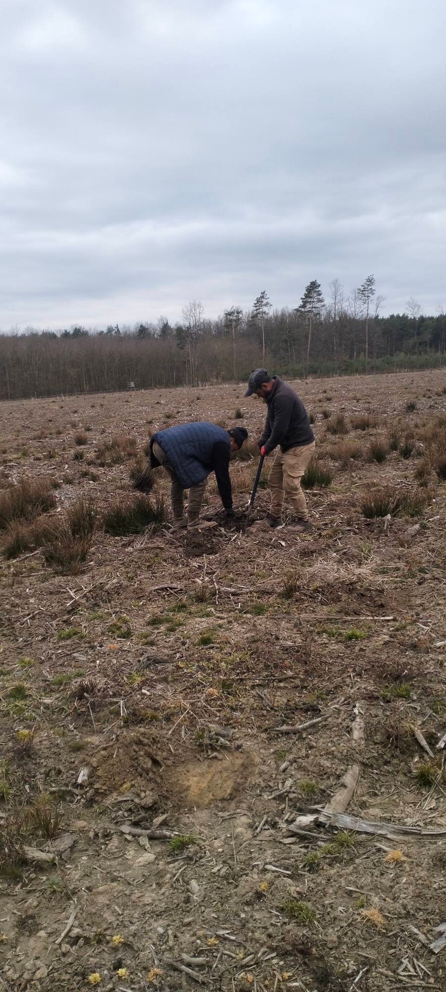 Echipă de 7–8 persoane și oferim servicii în domeniul silviculturii