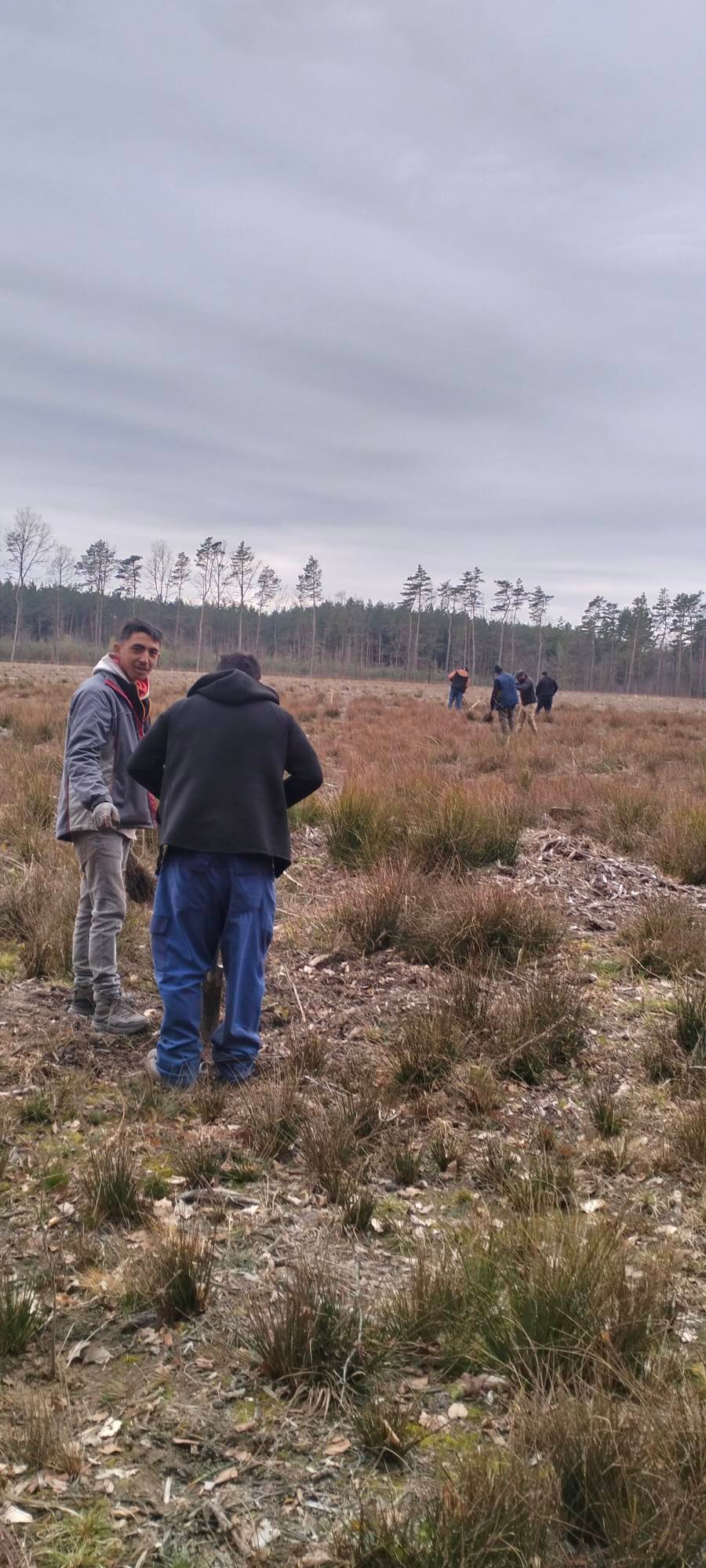 Echipă de 7–8 persoane și oferim servicii în domeniul silviculturii