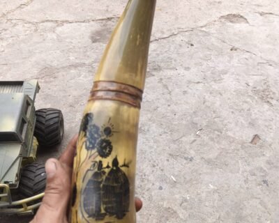 660491042_3474203226071241_1857499470044813581_n