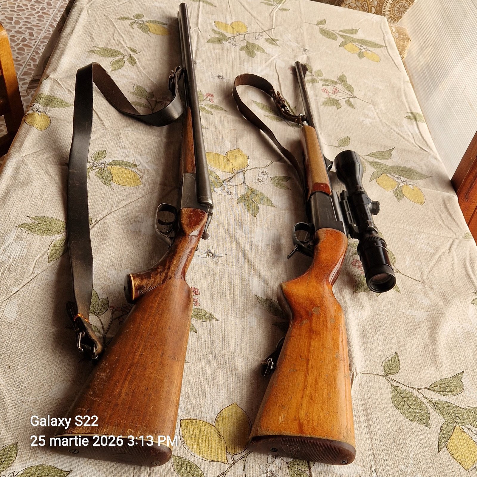 Cauta un nou proprietar doar conform legii