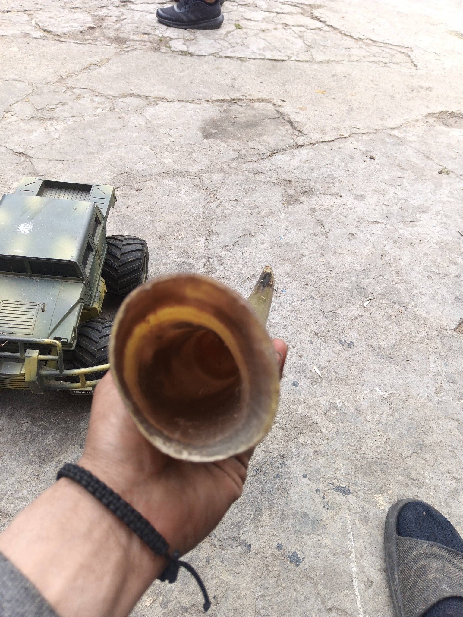 Corn taur sclubtat pictat 200 lei