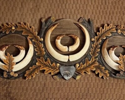 661389931_34763747636573730_6113572798631895631_n