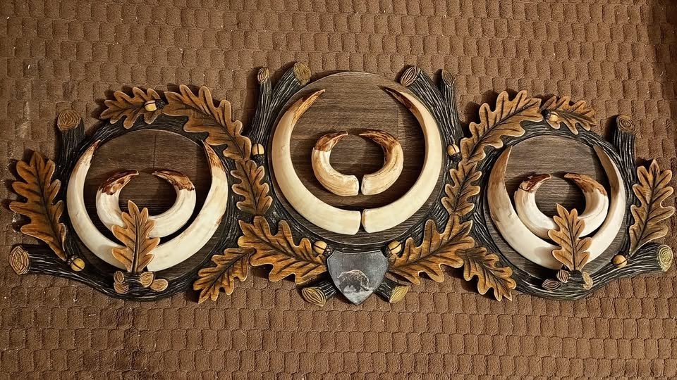 Sculptată manual lemn fag ,interior 18/22/18 cm,600 lei (fără colți)